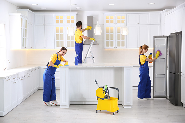 Move In and Move Out Cleaning Services