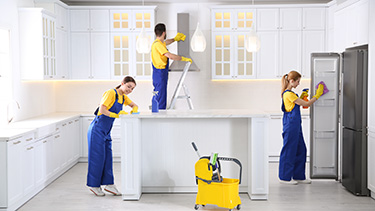 Move In/Out Cleaning Services